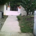 Justo Sierra