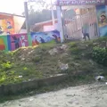 Niños Heroes