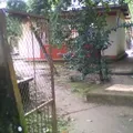 Lic. Benito Juarez