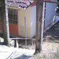 Lab Tom