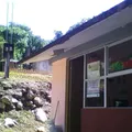 Julian Carrillo