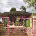 Niños Heroes