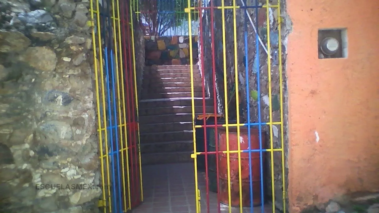 Nicolas Cuevas Entrada