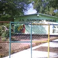 Juventino Rosas
