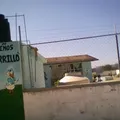 Julian Carrillo