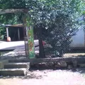 Justo Sierra