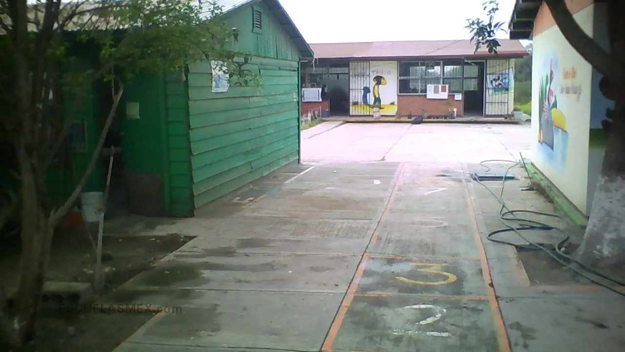 Juan Enrique Pestalozzi Entrada