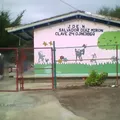 Salvador Diaz Miron