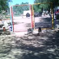 Jose Vasconcelos