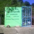 Julian Carrillo