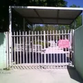 Cam Dra. Margarita Gomez Palacio Muñoz
