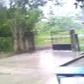 El Niño Campesino
