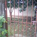 Lic. Luis Echeverria Alvarez