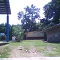 Herminio Salas Gil