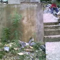 Ponciano Arriaga