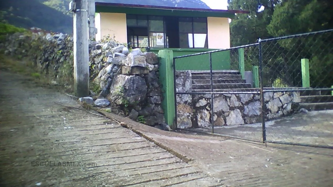 Narciso Mendoza Entrada