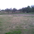 21 de Marzo