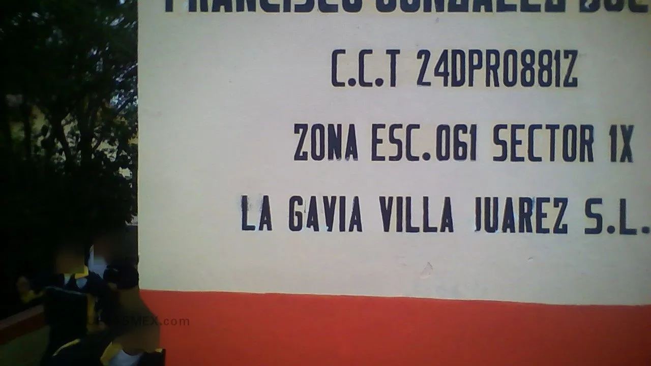 Francisco Gonzalez Bocanegra Entrada