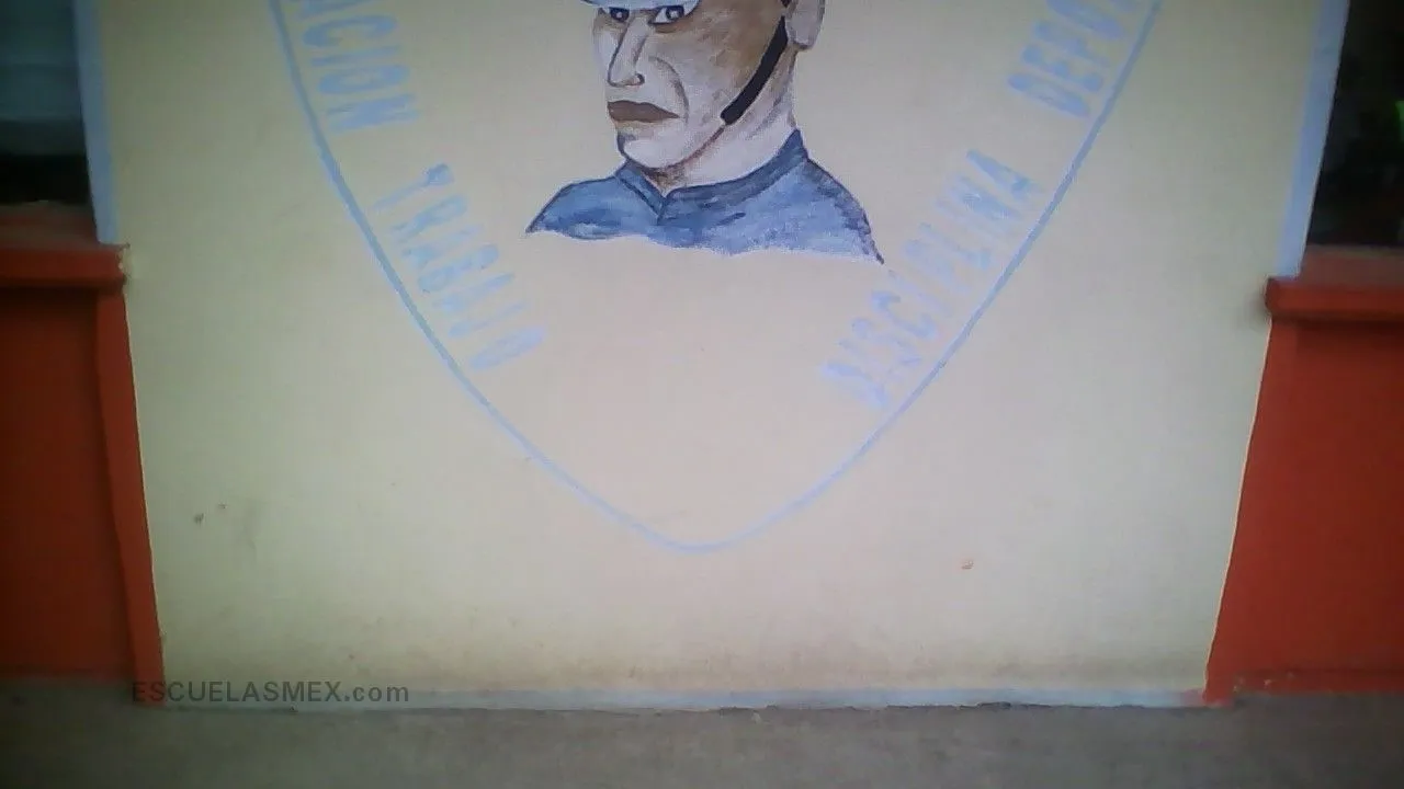Damian Carmona Entrada