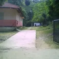 Domingo S Martinez