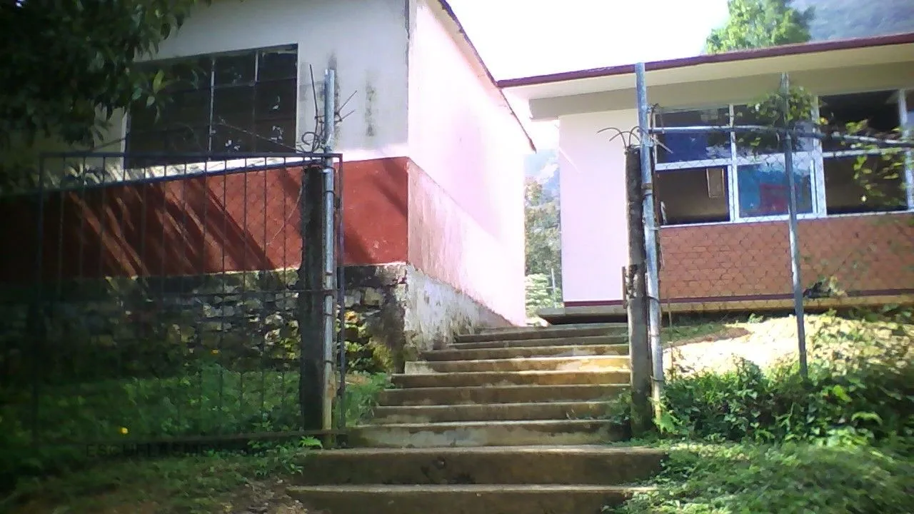 Netzahualcoyotl Entrada