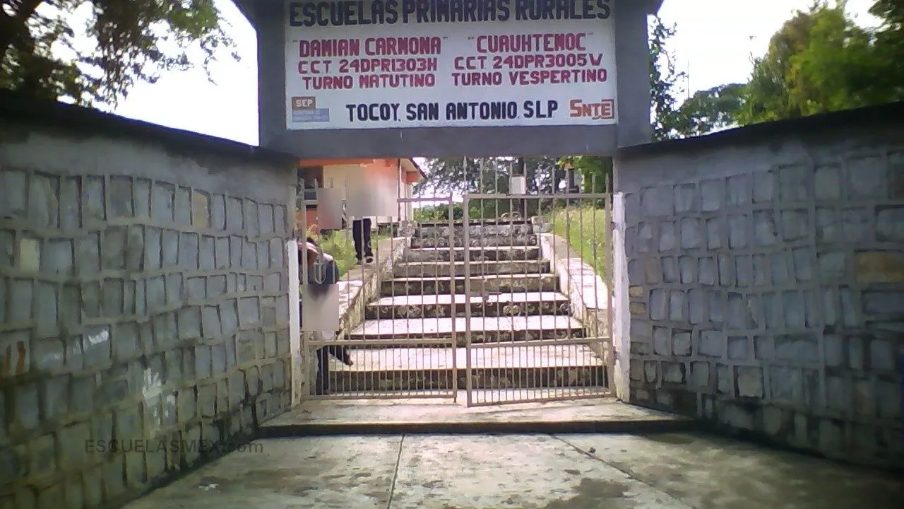 Damian Carmona Entrada