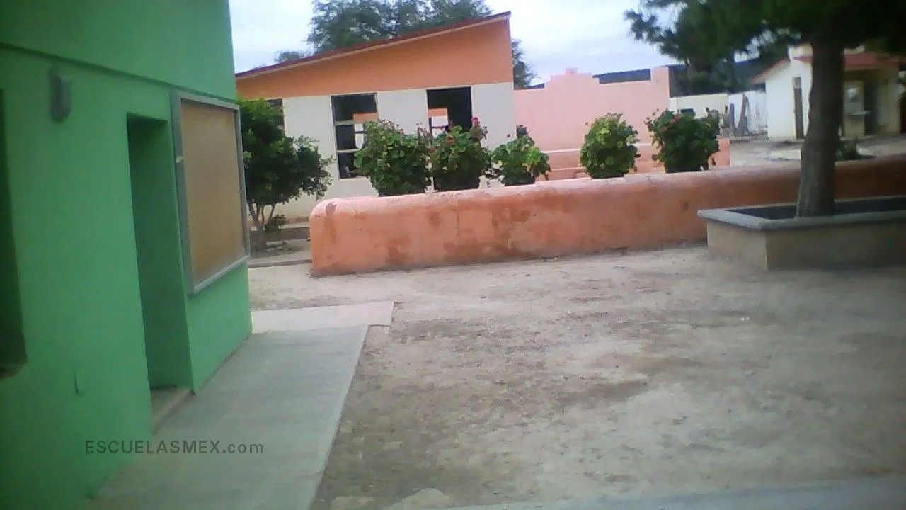 Flores Magon Entrada