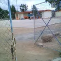 Julian Carrillo