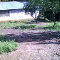 Manuel Jose Othon