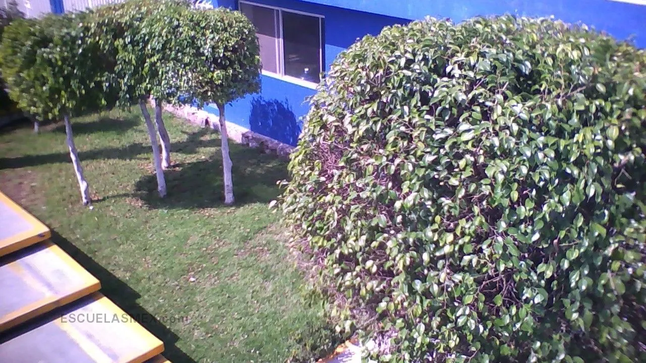 Escuela Secundaria Tecnica Num. 1 Entrada