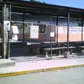 Ma. Guadalupe Chavez de la Rosa