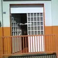 Niños Heroes
