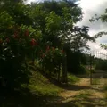 Justo Sierra