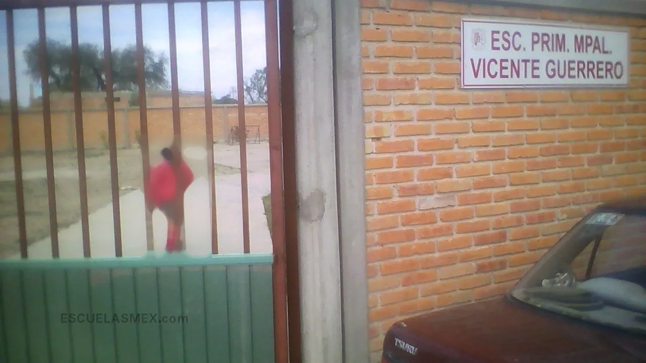Vicente Guerrero Entrada