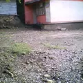 Preescolar Comunitario Indigena