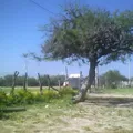 Preescolar Comunitario