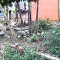 Preescolar Comunitario N/c 97-98