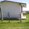 Preescolar Comunitario
