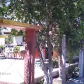 Preescolar Comunitario N/c 99-00