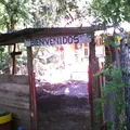 Preescolar Comunitario