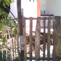Preescolar Comunitario