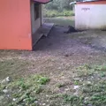Curso Comunitario