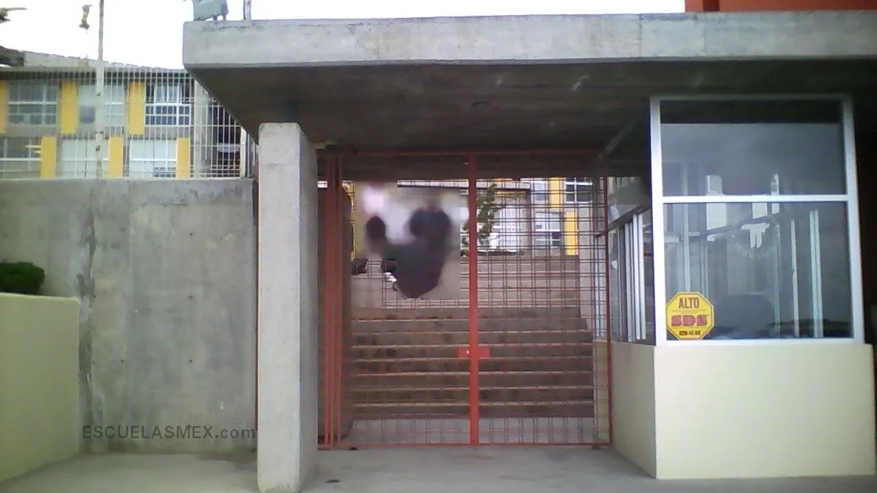 Colegio Internacional Terranova, A.c. Entrada