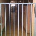 Instituto San Javier
