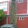 Colegio Pedagogico Libertad
