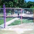 Facundo Torres Carlon