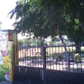Carlota Rosado Bosque