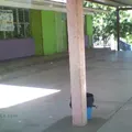 Jose Vasconcelos