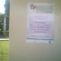 Niños Heroes