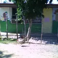 Don Miguel Hidalgo y Costilla
